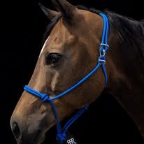 Royal blue handmade rope halter on a horse